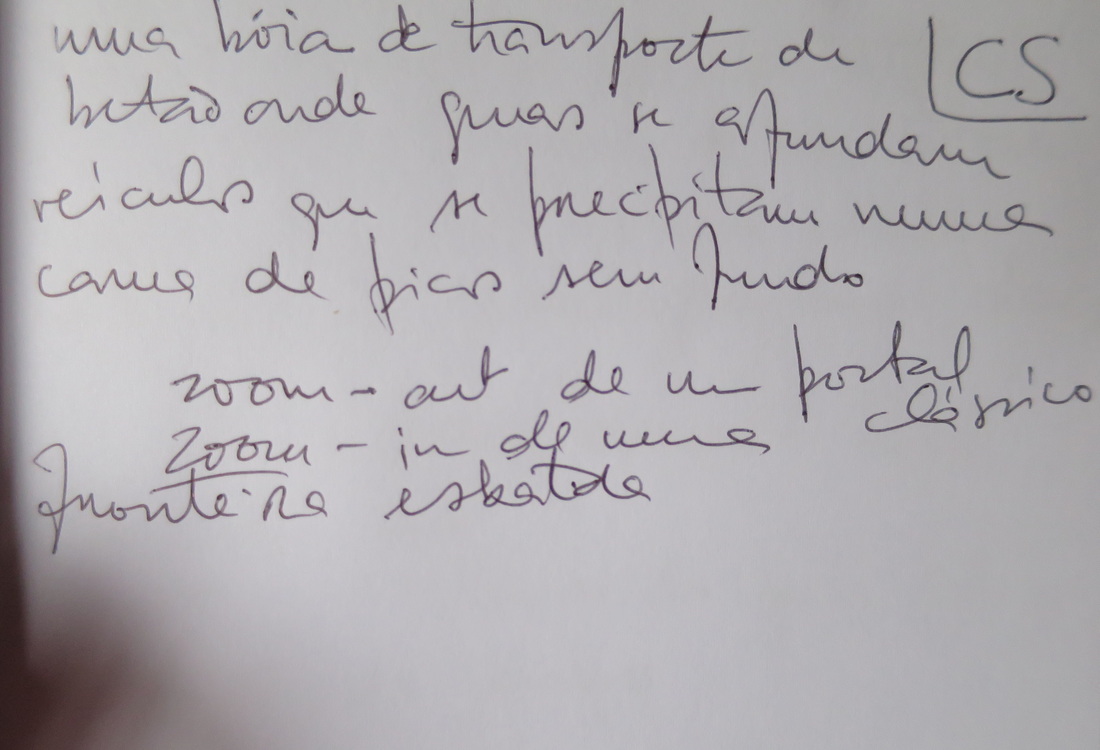 é preciso o movimento dos pássaros para atravessar o que há de lá para mim | o que existe num espaço de tempo entre um ponto e um porto qualquer | não é sequer a distância por fazer nem tampouco o caminho percorrido | quando muito a demora em não querer regressar